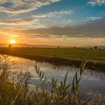 Panoramic Sunset Delta Deltebre